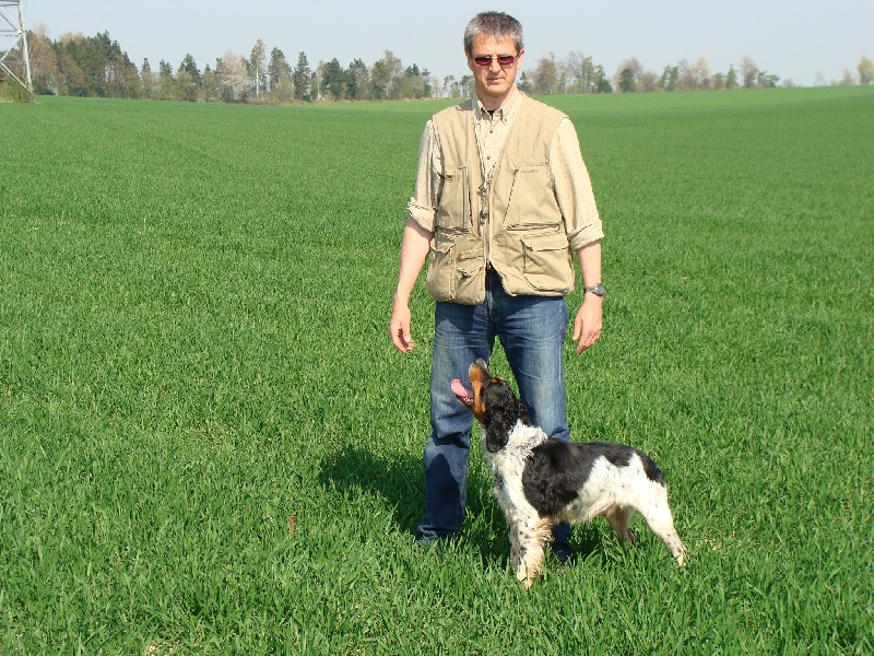 MES CHIENS en FIELDS